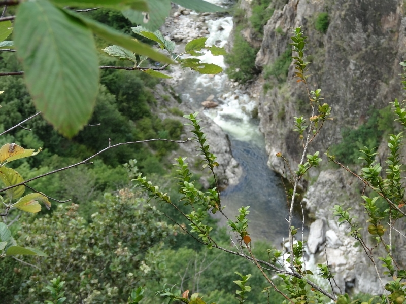 Village Camps International Summer Camp Ard&egrave;che, France 2019-07-26 https://www.villagecamps.com/journals_admin/images/929-40-21-07-2014  (800x533) (77).jpg